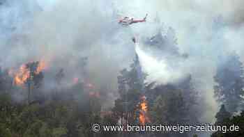 Teneriffa brennt: Spaniens schlimmste Feuer aller Zeiten