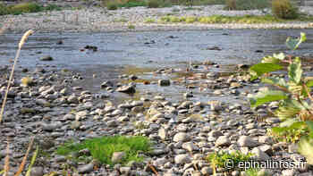 Sécheresse dans les Vosges : bilan des premiers contrôles - Epinal infos - Epinal Infos