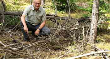 Höchste Waldbrandgefahr rund um Bruchsal: Grillen ist verboten - BNN - Badische Neueste Nachrichten