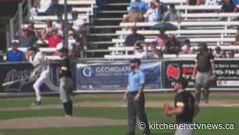 Kitchener Panthers fall to Barrie Baycats | CTV News - CTV News Kitchener