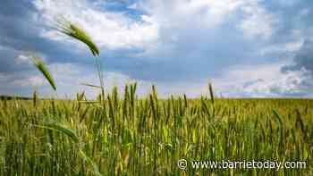 Farmer protest taking place locally, across Canada this weekend - BarrieToday