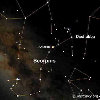 Meet Delta Scorpii, aka Dschubba - EarthSky