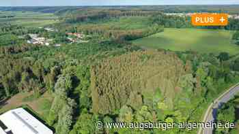 Wehringen, Bobingen: Gewerbegebiet im Auwald: Forst-Experte widerspricht Darstellung des Bürgermeisters | Schwabmünchner Allgemeine - Augsburger Allgemeine