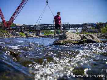New pedestrian, cycling bridge up over Rideau River from Carleton U to Vincent Massey Park; opening date unconfirmed