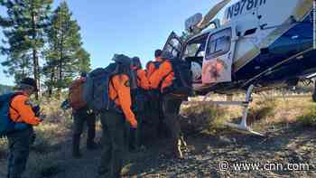 Dog led rescuers to his owner after he fell 70 feet