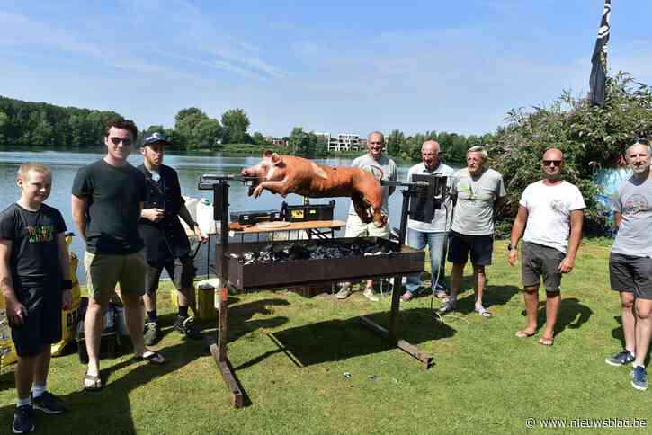 Blauwalg spelbreker bij jubileumviering windsurfclub Alleman: “Het waterverbod is een domper de feestvreugde”