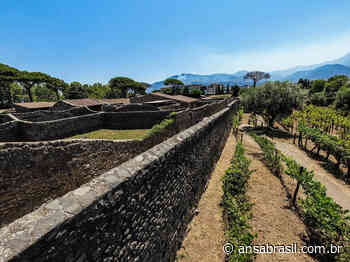 Parque Arqueológico de Pompeia terá empresa agrícola - Cultura - ANSA Brasil
