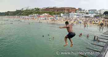 August heatwave could see even hotter temperatures in UK, say experts - Hull Live