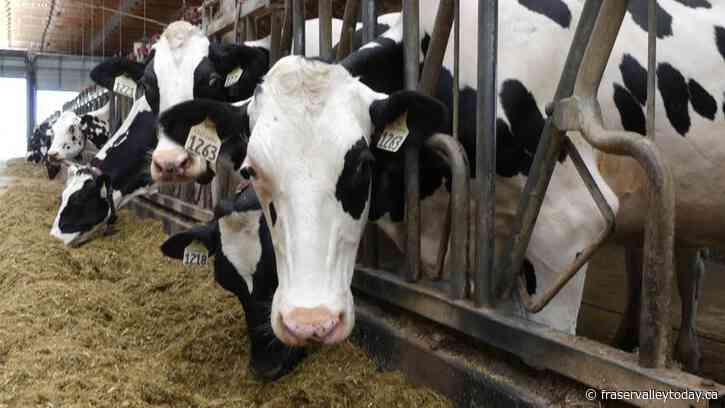 Pilot program to assist B.C. farmers and ranchers prepare for extreme weather events: ‘It’s great to see that support’