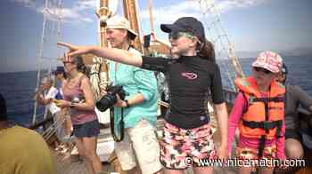 Une journée à bord du Santo Sospir, le bateau école pour sensibiliser à la pollution en Méditerranée et à la protection des cétacés