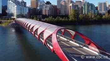 Man shatters Peace Bridge glass panels with hammer, police say