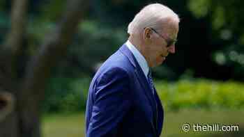 Stranded by COVID, Biden loses time on the trail - The Hill