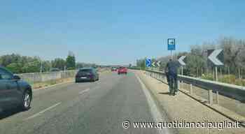 Verso Brindisi in bicicletta percorrendo la Statale, fermato dai vigili. «Andavo a trovare le mie figlie». Gar - quotidianodipuglia.it