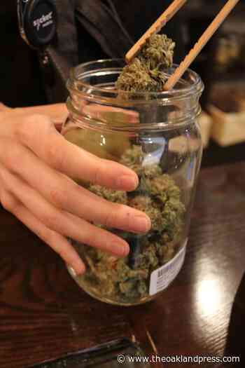 Pontiac medical marijuana efforts move forward - Oakland Press