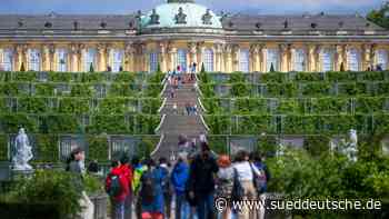 Agrar - Potsdam - Zuversicht bei Weinanbauern: Lese könnte gut werden - Wirtschaft - SZ.de - Süddeutsche Zeitung - SZ.de