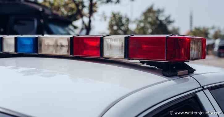 Man Requests Police Ride-Along But Is Thrown in Cuffs After Cops Take a Closer Look