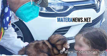 Ospedale di Matera: oggi 14 anni di attività per questi clown sempre pronti a strappare un sorriso a chi soffre! Complimenti - Matera News