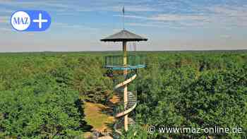 Elstal: Wanderwege in der Döberitzer Heide teilweise gesperrt - Märkische Allgemeine Zeitung