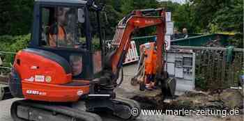 Marl: Loemühenteich wird saniert - Baggerarbeiten starten - Marler Zeitung