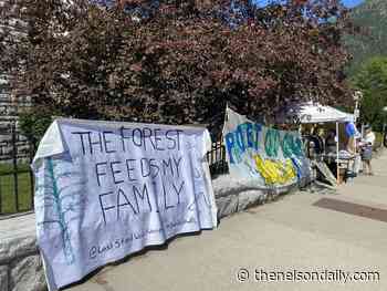 Civil charges could go criminal in case against logging protestors - The Nelson Daily