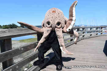 Sidney aquarium getting creative for naming newest giant Pacific octopus - Saanich News
