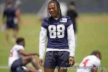 Houston rookie Canadian receiver John Metchie III diagnosed with leukemia - Squamish Chief