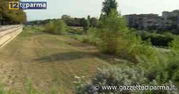 Caldo record anche di notte: minima a 26,2 gradi a Parma - Gazzetta di Parma