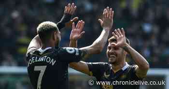 Joelinton on World Cup dream as he hints at making Bruno Guimaraes Newcastle United boardroom request - Chronicle Live