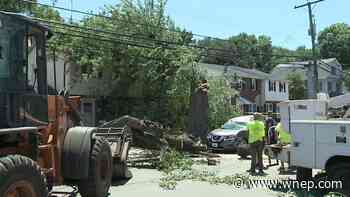 Tree falls on home in Kingston - WNEP Scranton/Wilkes-Barre