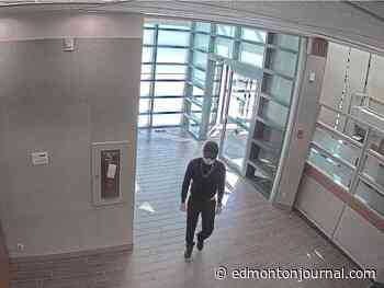 Would-be Rolex buyers book it from St. Albert bank meet-up, sellers bear-sprayed, hit with car - Edmonton Journal