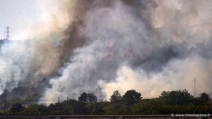 Incendio, nuova ordinanza a Monfalcone: mascherine obbligatorie in caso di odore di fumo - TriestePrima