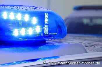 Badeunfall mit zwei Personen im Rhein - Rettungskräfte aus Mannheim und Ludwigshafen im Einsatz - Mannheimer Morgen