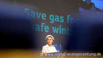 Von der Leyen warnt Kritiker von Gas-Notfallplänen