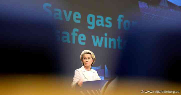 Von der Leyen warnt Kritiker von Gas-Notfallplänen