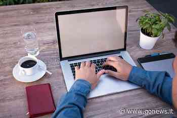 Offerte di lavoro di fine luglio per Empoli e Fucecchio: come candidarsi - gonews