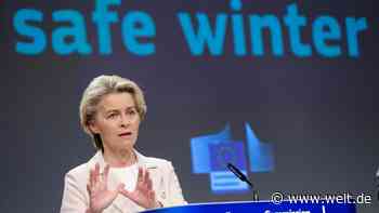 „Das Ding wird scheitern“ – Europas Gas-Notfallplan steht vor dem Aus