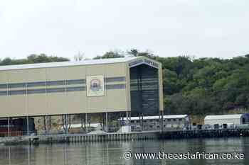 Kenya, Tanzania struggle to run shipping lines - The East African