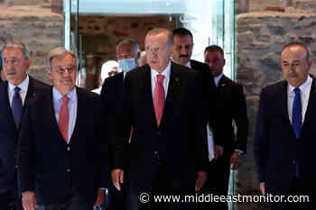 UK, EU hail Türkiye, UN-brokered deal on shipping Ukraine grain from Black Sea - Middle East Monitor