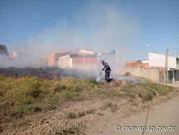 Defesa Civil de Capivari apaga incêndio no bairro Jardim Branyl nesta quinta-feira, dia 21 - Prefeitura de Capivari (.gov)