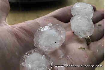 Hailstorms lay a beating on canola to cars - Red Deer Advocate