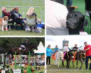 Royal Lancashire Show 2022 photo gallery