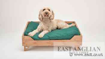 Sustainable dog beds UK - Oscar & Digby - East Anglian Daily Times