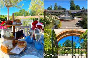 Review: Afternoon tea tailored to your tastes at Wynyard Hall's Garden Cafe - Sunderland Echo