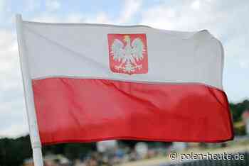 Wie Online Marketing deutschen Unternehmen den Eintritt in den polnischen Markt ermöglichen kann - Polen Heute