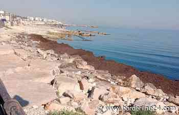 Bari, spiagge di Palese tra sporcizia e degrado: "A chi spetta pulire? Noi non esistiamo" - Borderline24.com