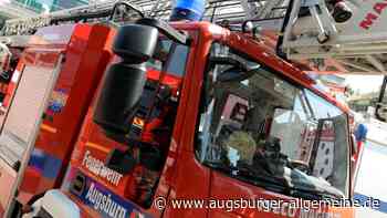 Kurioser Feuerwehreinsatz in Klinik: Tier löste Brandalarm aus
