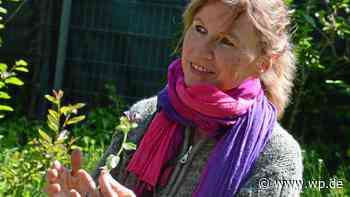 Eine Tour durch die Kräuterflächen in Herdecke - WP News