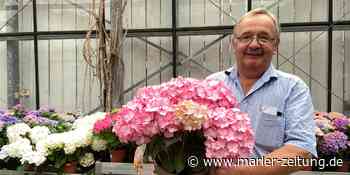 Gärtner aus Oer-Erkenschwick gibt Gartentipps für Hitze-Tage - Marler Zeitung