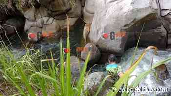 ¡Rescate canino! Salvan a perrita en río de Coatepec - Golpe Político