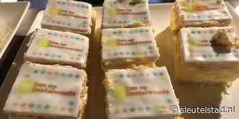 Subsidiepotje duurzaamheidsmaatregelen Zoeterwoude nu al leeg - Sleutelstad